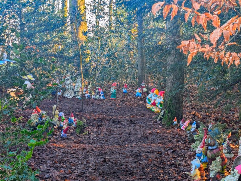 3 super leuke kabouters gedoneerd door de Drankenier! Kleurige tuinfiguren staan langs een pad in het bos tussen bomen en bladeren.