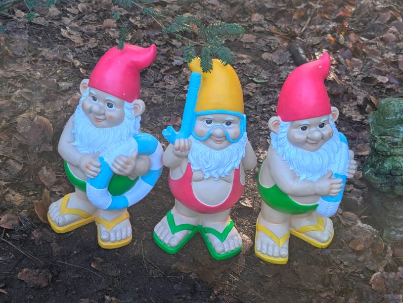 3 super leuke kabouters gedoneerd door de Drankenier! Drie kleurrijke tuinkabouters met verschillende accessoires en hoedjes staan op een ondergrond van bladeren.