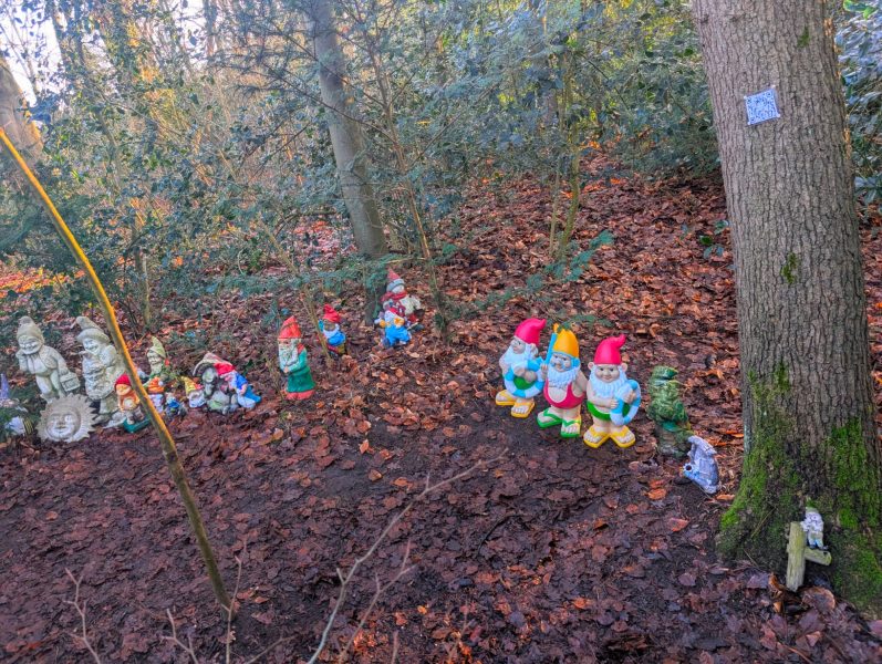 3 super leuke kabouters gedoneerd door de Drankenier! Een rij kleurrijke tuinkabouters tussen de bladeren in een bosgebied.